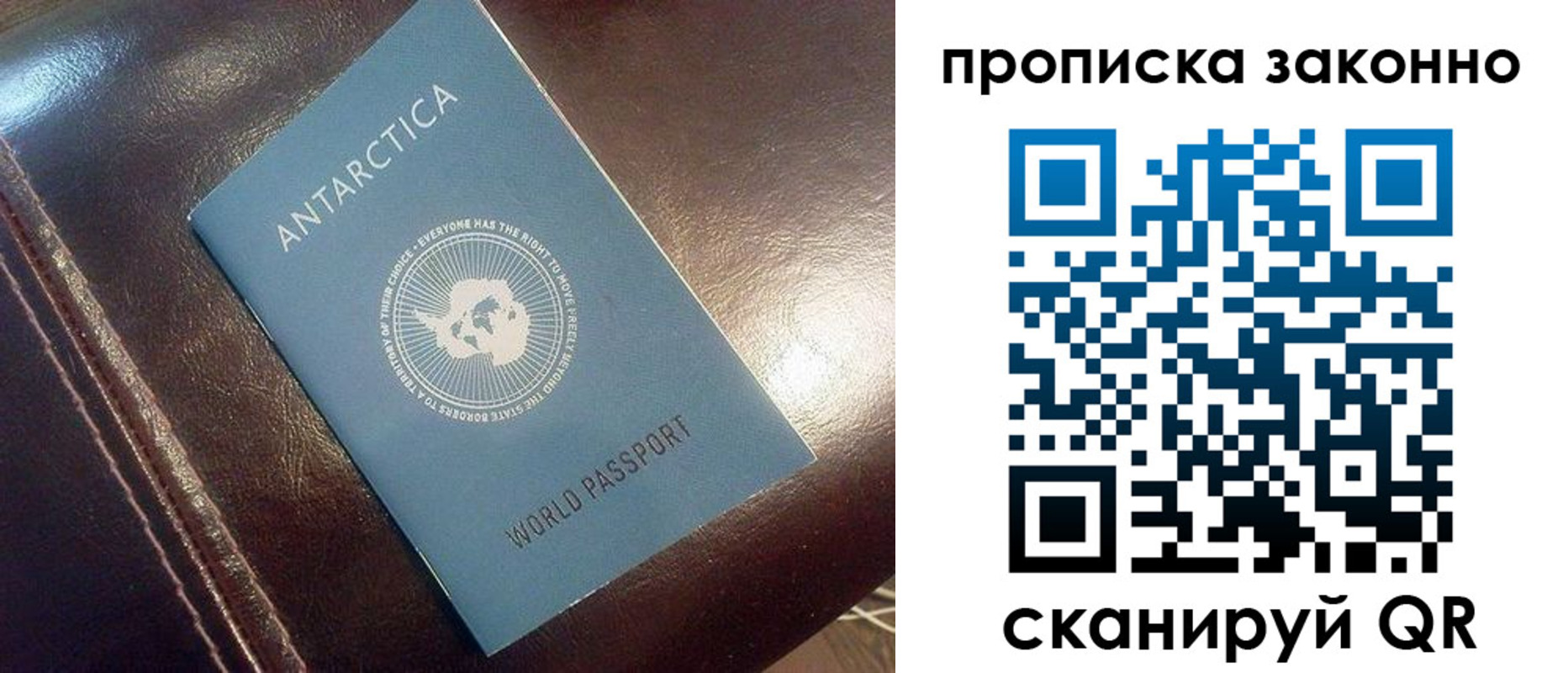 прописка в квартире в Реже
